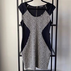 Express Bodycon Scoop Neck Zip Down Dress